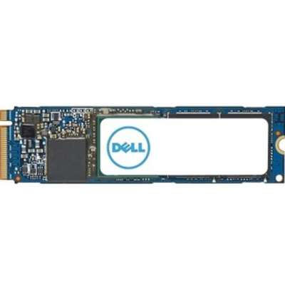 Dell SNP228G44/1TB
